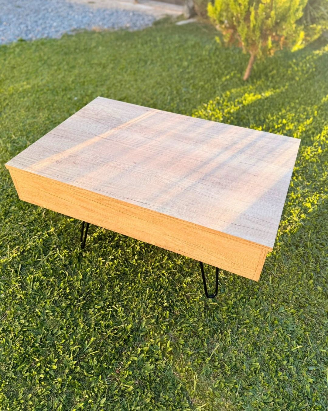 Mesa ratona con espacio de guardado